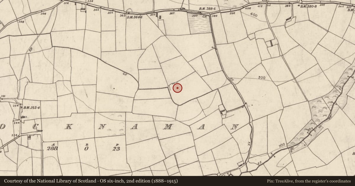 Ordnance Survey six-inch map, 2nd edition (1888–1915) covering the location of Souterrain, Lisheennashingane, County Kerry, with a pin at the register's coordinates