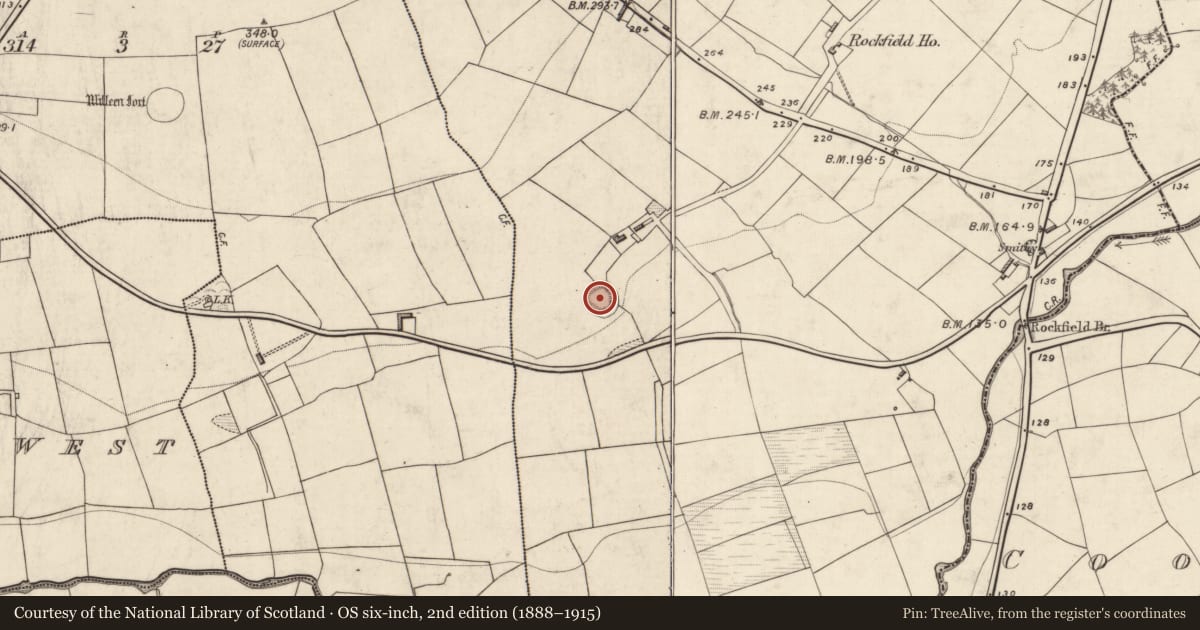Ordnance Survey six-inch map, 2nd edition (1888–1915) covering the location of Ringfort - rath, Rockfield East, County Kerry, with a pin at the register's coordinates