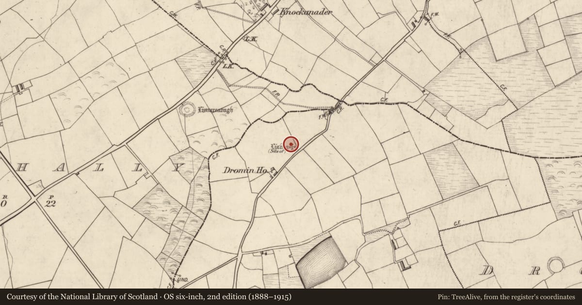 Ordnance Survey six-inch map, 2nd edition (1888–1915) covering the location of Ringfort - rath, Dromin West, County Kerry, with a pin at the register's coordinates