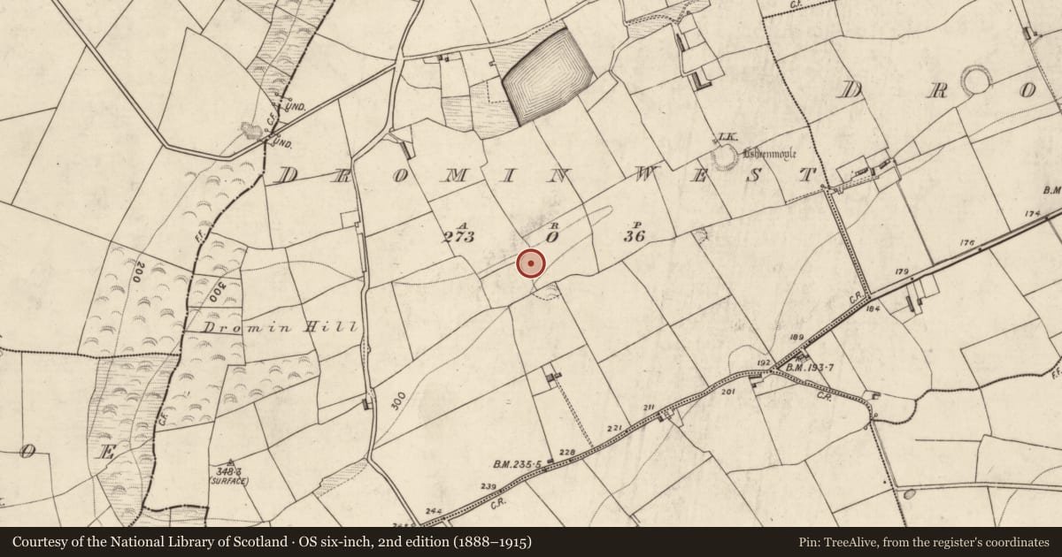 Ordnance Survey six-inch map, 2nd edition (1888–1915) covering the location of Ringfort - rath, Dromin West, County Kerry, with a pin at the register's coordinates