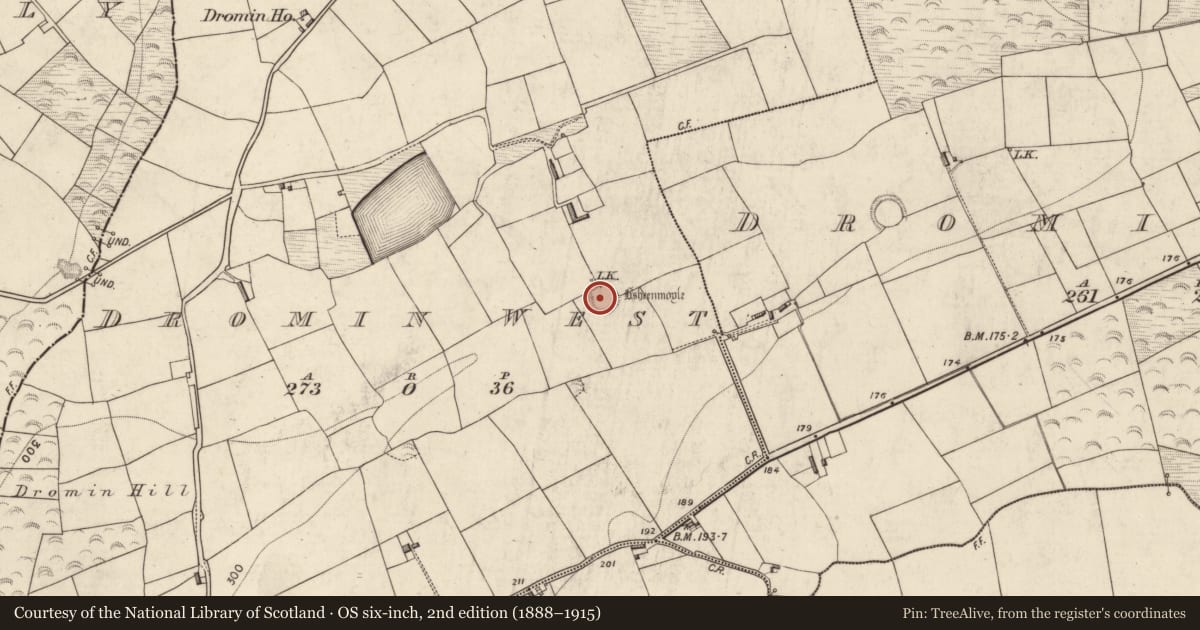 Ordnance Survey six-inch map, 2nd edition (1888–1915) covering the location of Ringfort - rath, Dromin West, County Kerry, with a pin at the register's coordinates