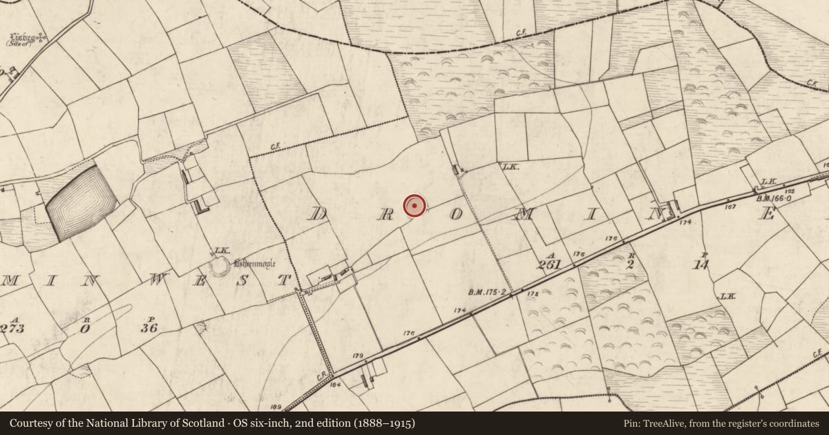 Ordnance Survey six-inch map, 2nd edition (1888–1915) covering the location of Ringfort - rath, Dromin East, County Kerry, with a pin at the register's coordinates