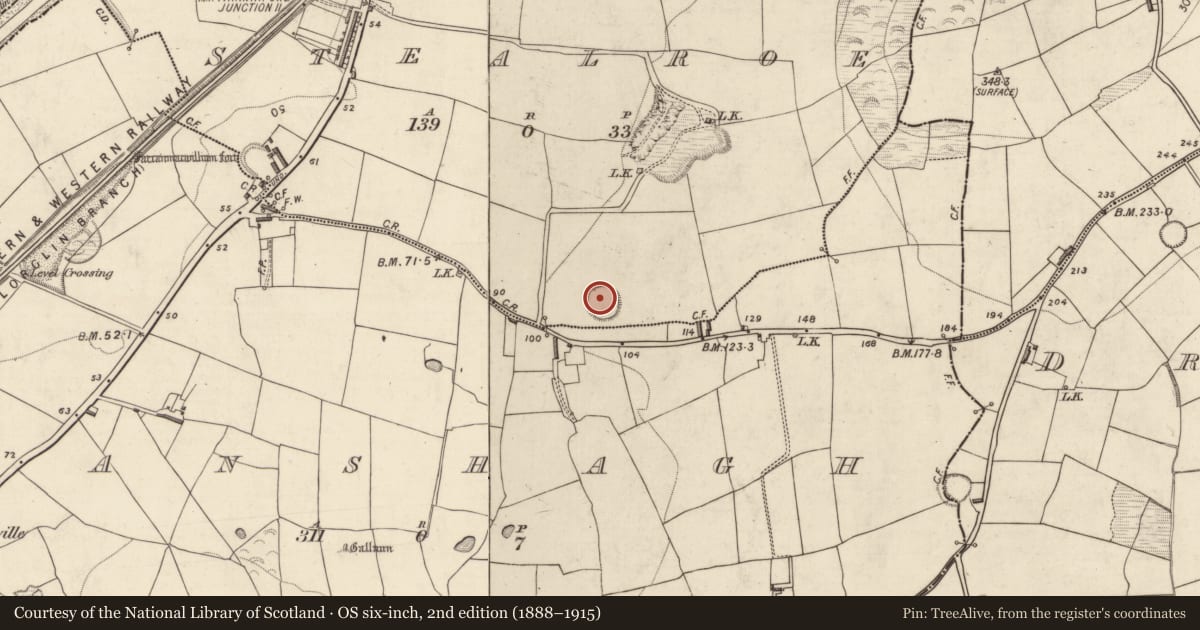 Ordnance Survey six-inch map, 2nd edition (1888–1915) covering the location of Ringfort - rath, Stealroe, County Kerry, with a pin at the register's coordinates