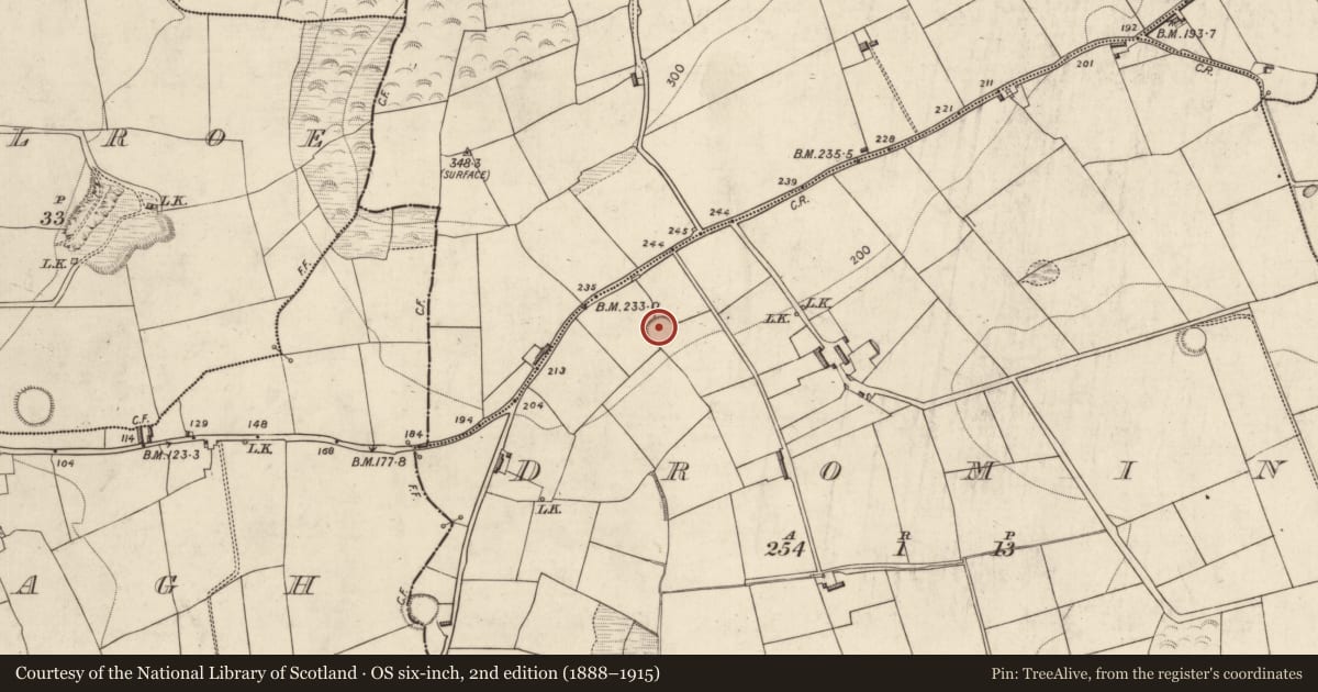 Ordnance Survey six-inch map, 2nd edition (1888–1915) covering the location of Souterrain, Dromin, County Kerry, with a pin at the register's coordinates