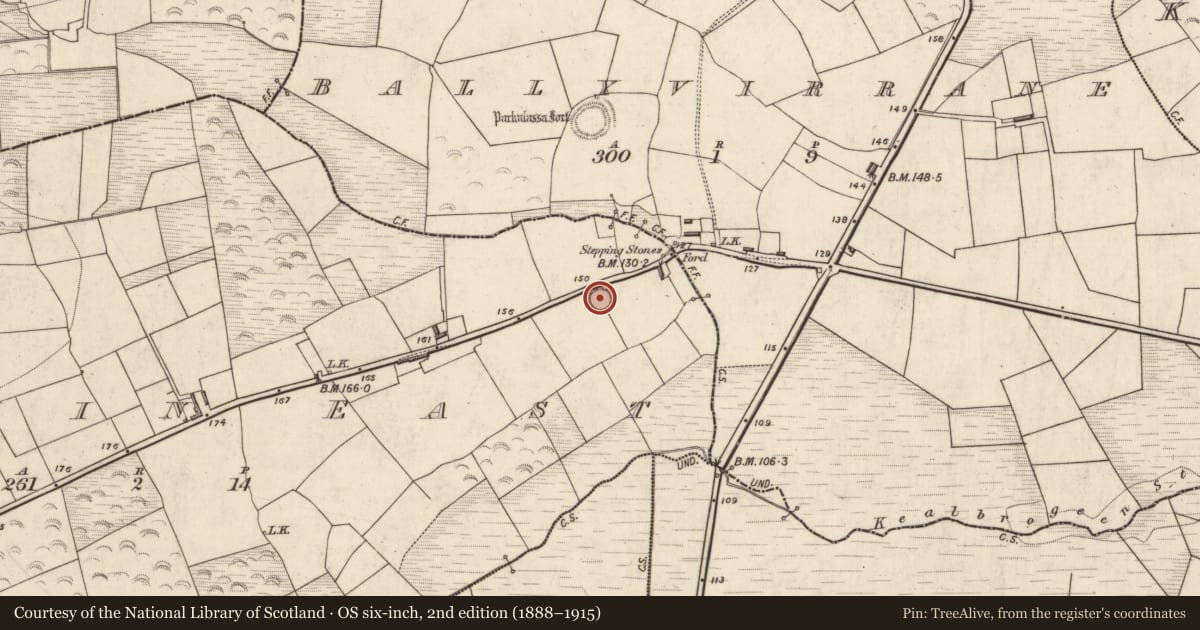 Ordnance Survey six-inch map, 2nd edition (1888–1915) covering the location of Ringfort - rath, Dromin East, County Kerry, with a pin at the register's coordinates