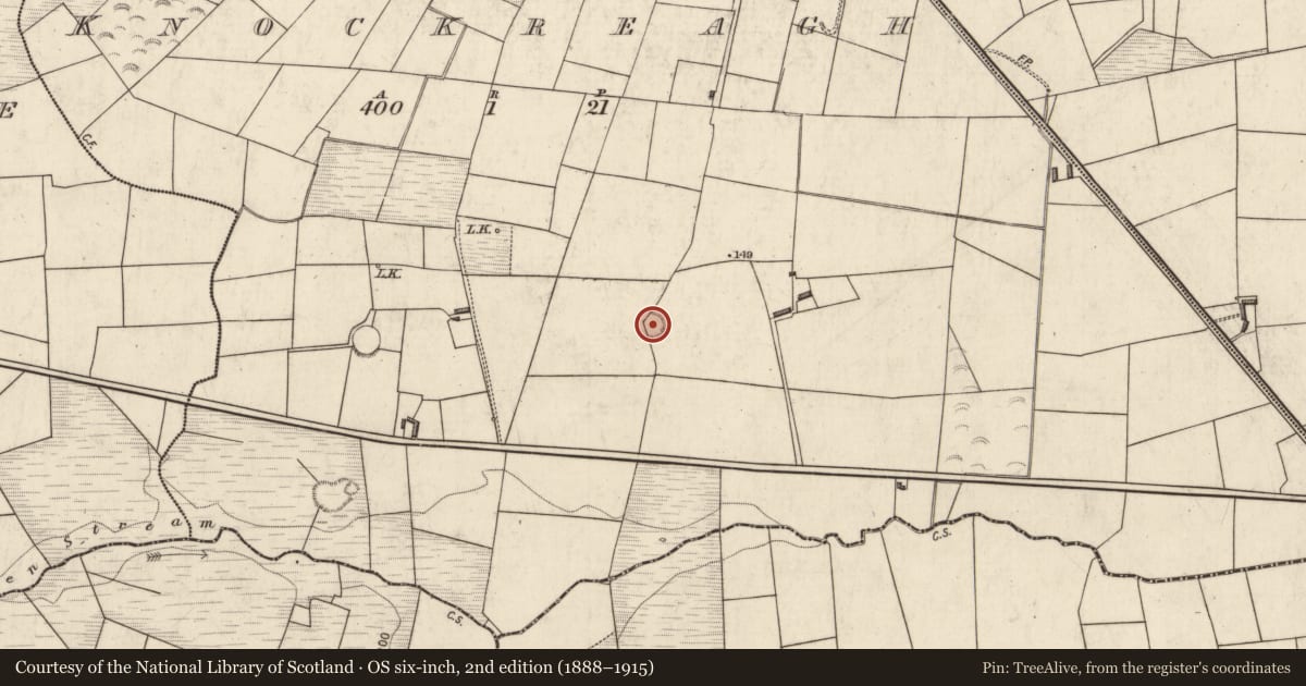 Ordnance Survey six-inch map, 2nd edition (1888–1915) covering the location of Ringfort - rath, Knockreagh, County Kerry, with a pin at the register's coordinates