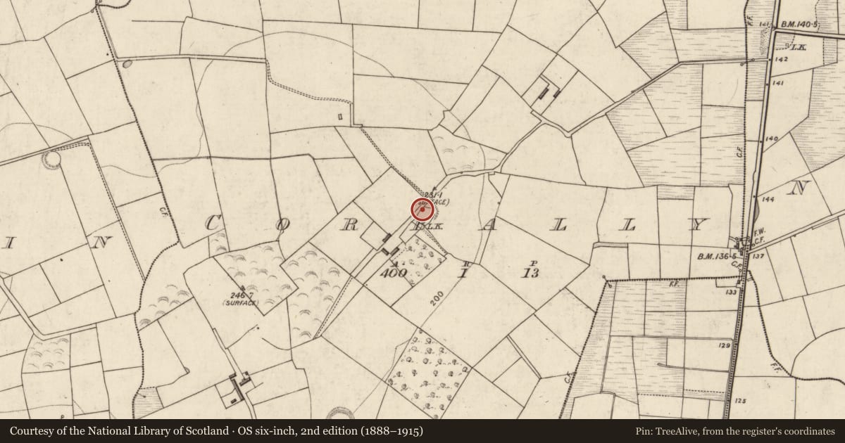 Ordnance Survey six-inch map, 2nd edition (1888–1915) covering the location of Hut site, Corbally, County Kerry, with a pin at the register's coordinates