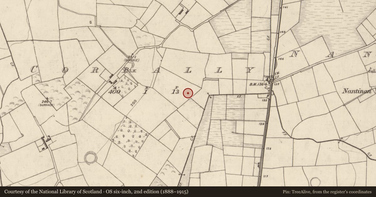 Ordnance Survey six-inch map, 2nd edition (1888–1915) covering the location of Ringfort - rath, Corbally, County Kerry, with a pin at the register's coordinates