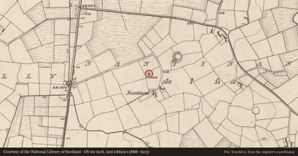 Ordnance Survey six-inch map, 2nd edition (1888–1915) covering the location of Standing stone - pair, Nantinan, County Kerry, with a pin at the register's coordinates