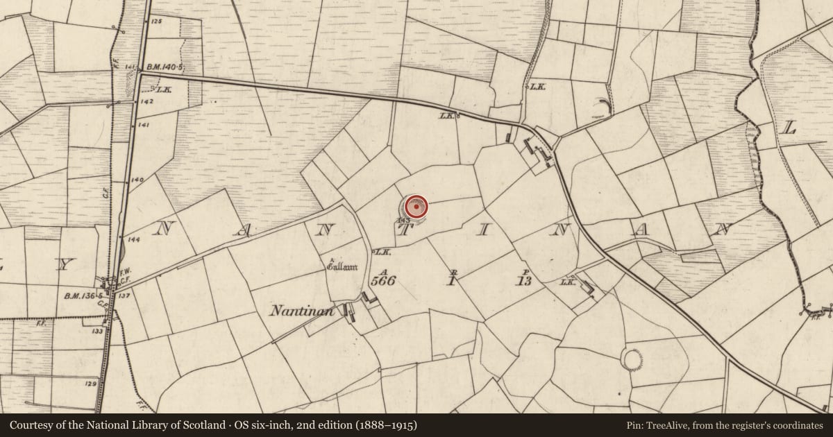 Ordnance Survey six-inch map, 2nd edition (1888–1915) covering the location of Ringfort - rath, Nantinan, County Kerry, with a pin at the register's coordinates