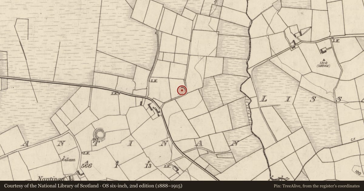 Ordnance Survey six-inch map, 2nd edition (1888–1915) covering the location of Ringfort - rath, Nantinan, County Kerry, with a pin at the register's coordinates
