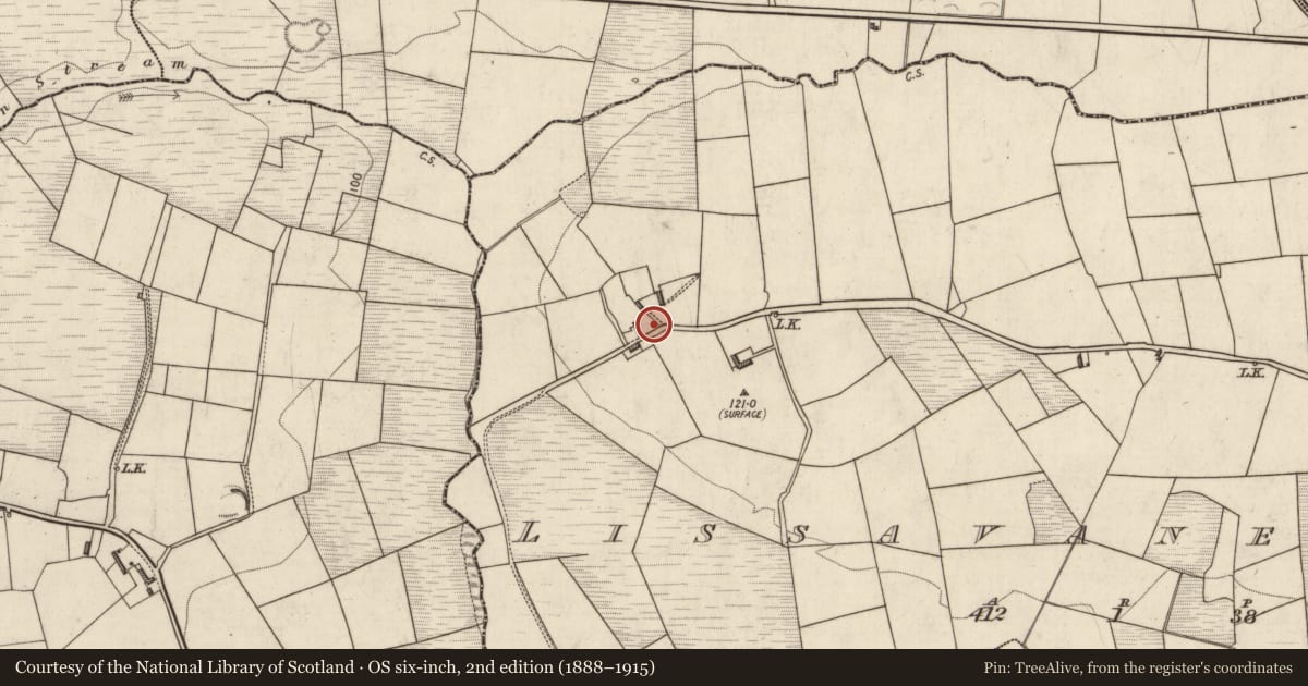 Ordnance Survey six-inch map, 2nd edition (1888–1915) covering the location of Ringfort - rath, Lissavane West, County Kerry, with a pin at the register's coordinates