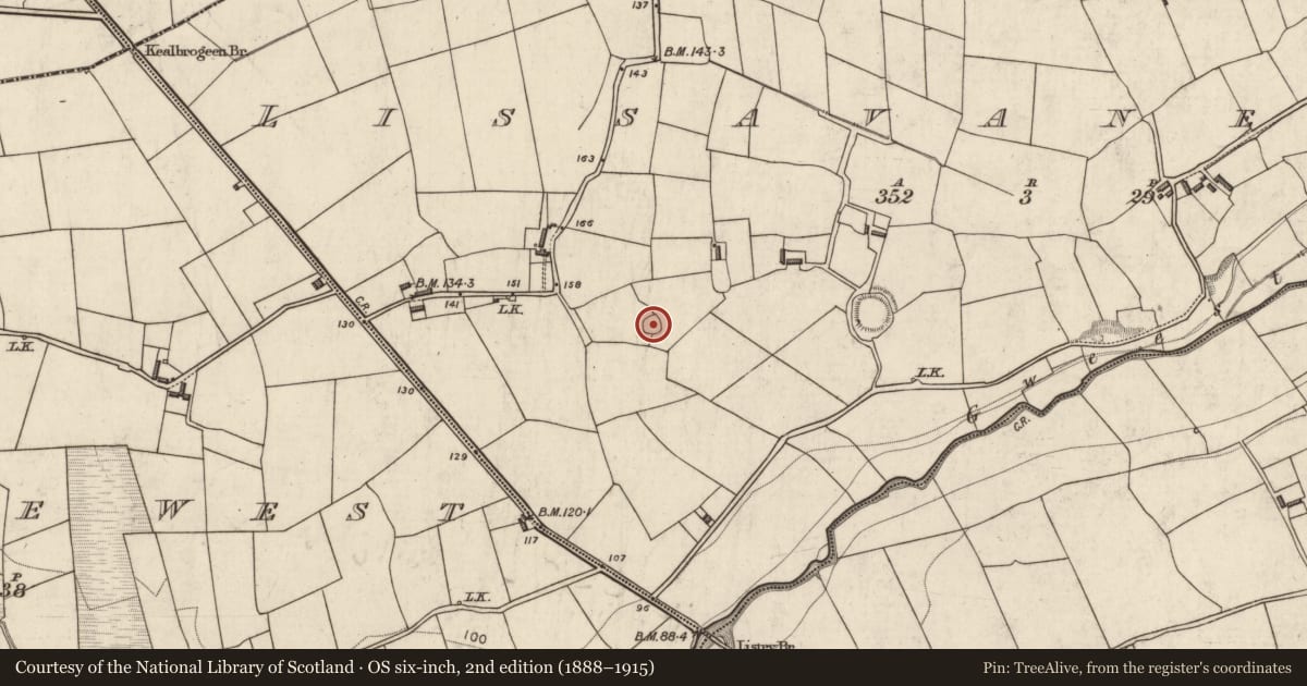 Ordnance Survey six-inch map, 2nd edition (1888–1915) covering the location of Ringfort - rath, Lissavane East, County Kerry, with a pin at the register's coordinates