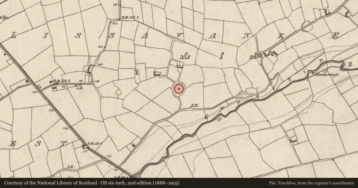 Ordnance Survey six-inch map, 2nd edition (1888–1915) covering the location of Ringfort - rath, Lissavane East, County Kerry, with a pin at the register's coordinates