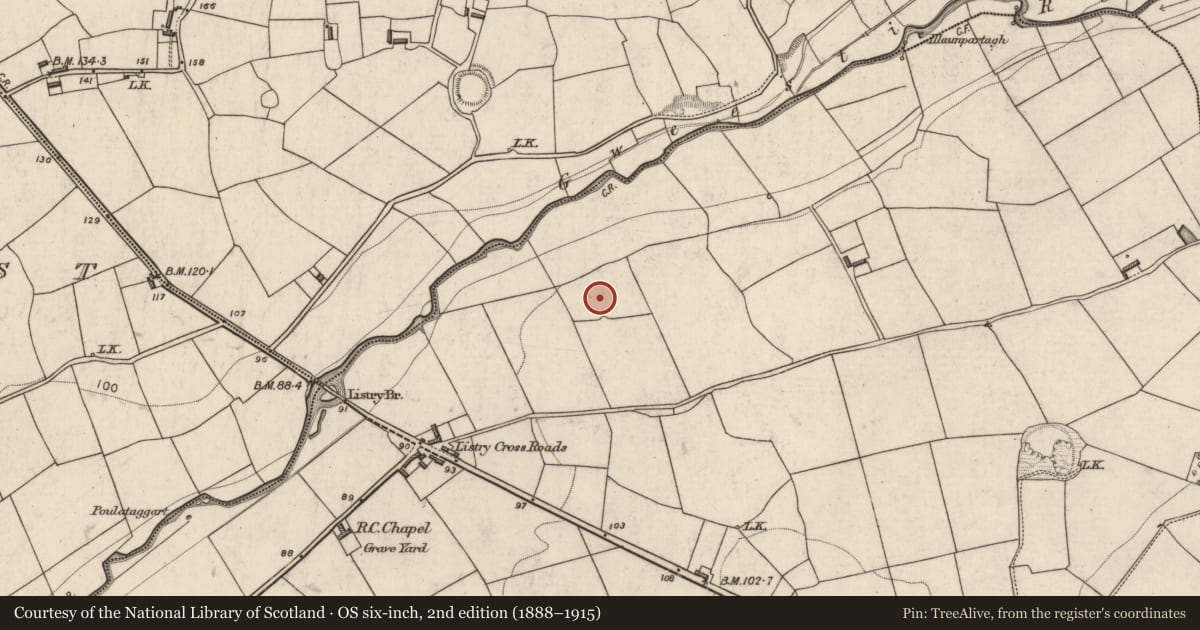 Ordnance Survey six-inch map, 2nd edition (1888–1915) covering the location of Ringfort - rath, Listry, County Kerry, with a pin at the register's coordinates