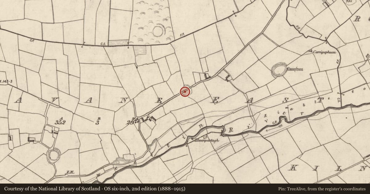 Ordnance Survey six-inch map, 2nd edition (1888–1915) covering the location of Ringfort - rath, Lissavane East, County Kerry, with a pin at the register's coordinates