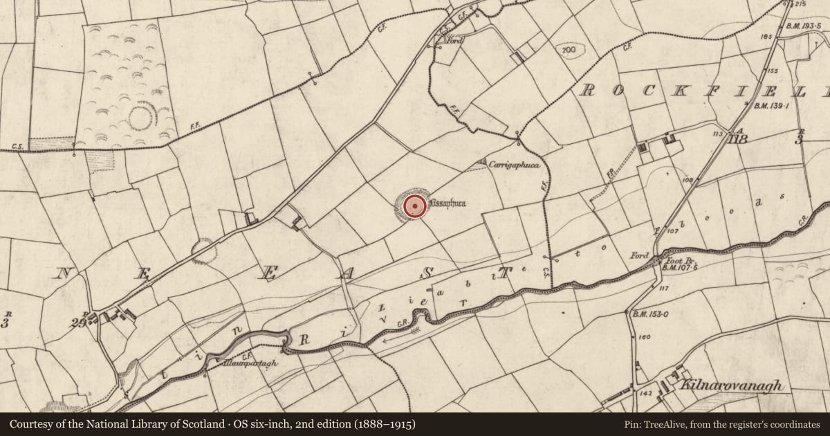 Ordnance Survey six-inch map, 2nd edition (1888–1915) covering the location of Ringfort - rath, Lissavane East, County Kerry, with a pin at the register's coordinates