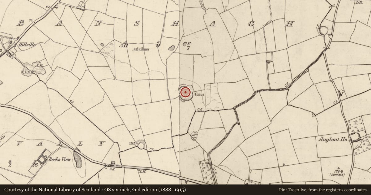 Ordnance Survey six-inch map, 2nd edition (1888–1915) covering the location of Ringfort - rath, Banshagh, County Kerry, with a pin at the register's coordinates