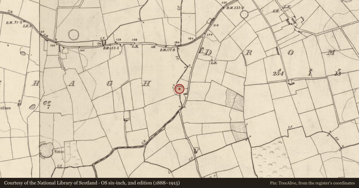 Ordnance Survey six-inch map, 2nd edition (1888–1915) covering the location of Ringfort - rath, Banshagh, Dromin, County Kerry, with a pin at the register's coordinates