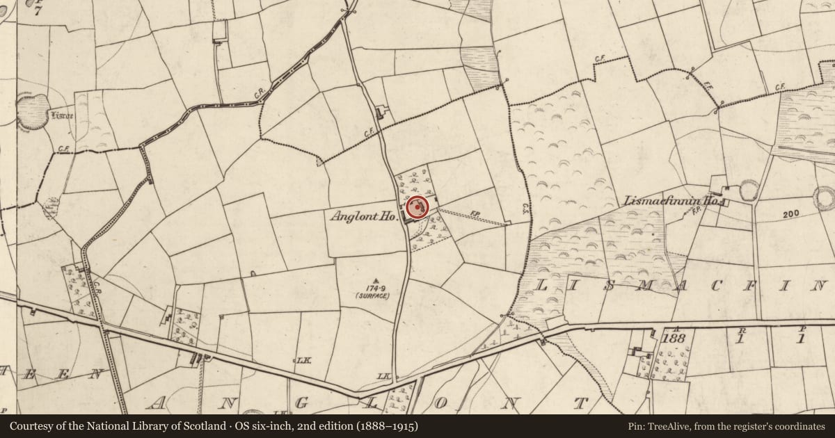 Ordnance Survey six-inch map, 2nd edition (1888–1915) covering the location of Rock art, Anglont, County Kerry, with a pin at the register's coordinates