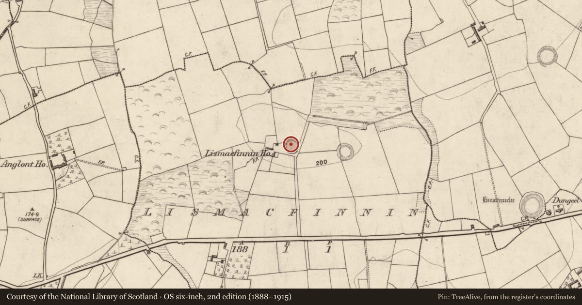 Ordnance Survey six-inch map, 2nd edition (1888–1915) covering the location of Ringfort - rath, Lismacfinnin, County Kerry, with a pin at the register's coordinates