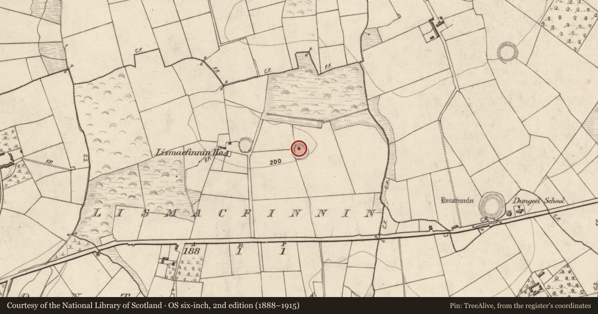 Ordnance Survey six-inch map, 2nd edition (1888–1915) covering the location of Ringfort - rath, Lismacfinnin, County Kerry, with a pin at the register's coordinates