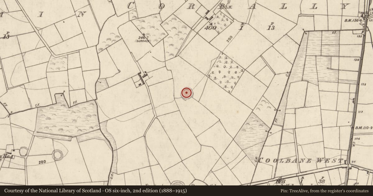 Ordnance Survey six-inch map, 2nd edition (1888–1915) covering the location of Ringfort - rath, Corbally, County Kerry, with a pin at the register's coordinates