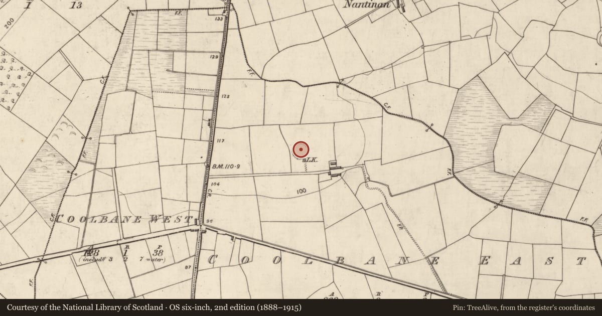 Ordnance Survey six-inch map, 2nd edition (1888–1915) covering the location of Ringfort - rath, Coolbane East (Magunihy By., Kilbonane Par.), County Kerry, with a pin at the register's coordinates