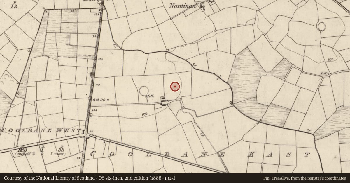 Ordnance Survey six-inch map, 2nd edition (1888–1915) covering the location of Children's burial ground, Coolbane East (Magunihy By., Kilbonane Par.), County Kerry, with a pin at the register's coordinates