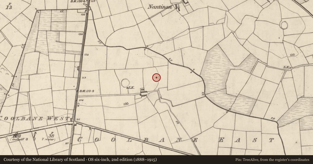 Ordnance Survey six-inch map, 2nd edition (1888–1915) covering the location of Standing stone, Coolbane East (Magunihy By., Killoglin Par.), County Kerry, with a pin at the register's coordinates