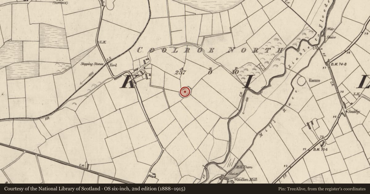 Ordnance Survey six-inch map, 2nd edition (1888–1915) covering the location of Ringfort - rath, Coolroe North, County Kerry, with a pin at the register's coordinates