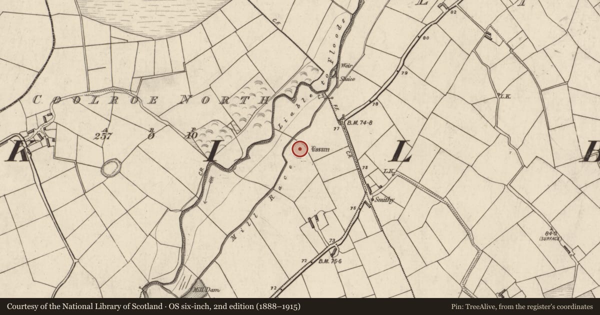 Ordnance Survey six-inch map, 2nd edition (1888–1915) covering the location of Ringfort - rath, Ballymalis, County Kerry, with a pin at the register's coordinates