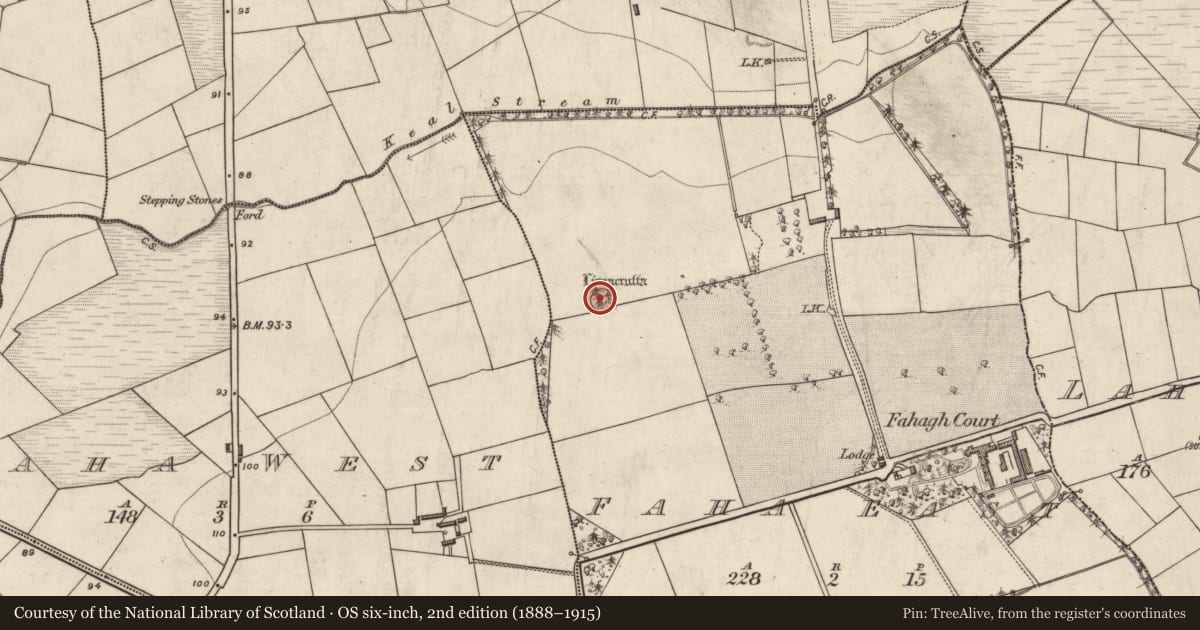 Ordnance Survey six-inch map, 2nd edition (1888–1915) covering the location of Souterrain, Faha East, County Kerry, with a pin at the register's coordinates