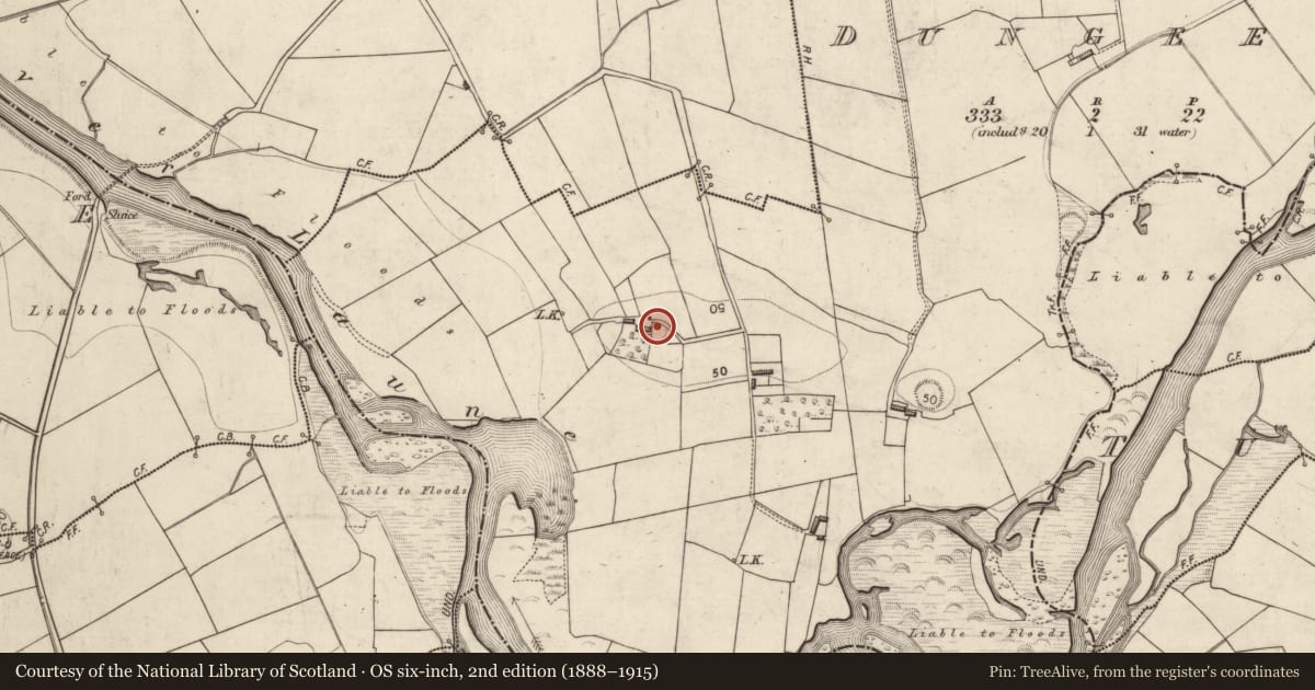 Ordnance Survey six-inch map, 2nd edition (1888–1915) covering the location of Ringfort - rath, Dungeel, County Kerry, with a pin at the register's coordinates