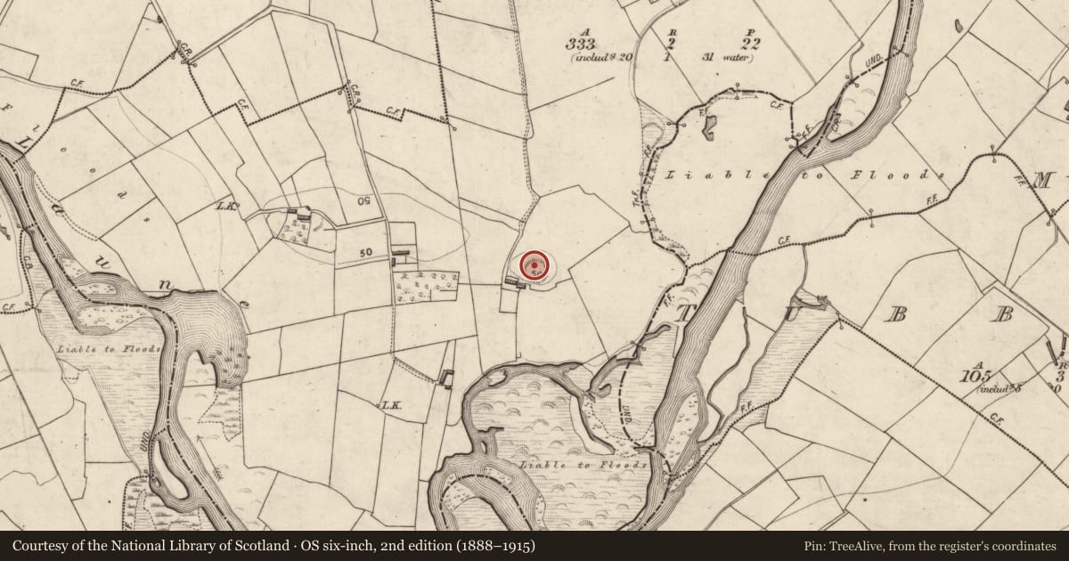 Ordnance Survey six-inch map, 2nd edition (1888–1915) covering the location of Ringfort - rath, Dungeel, County Kerry, with a pin at the register's coordinates