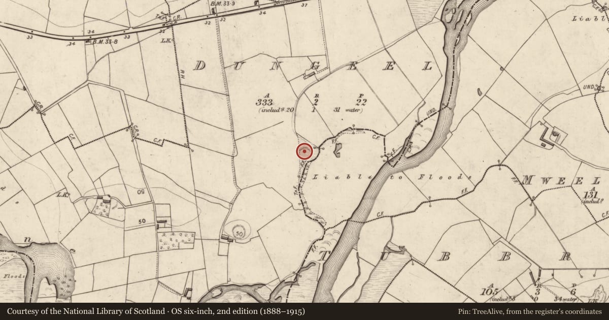 Ordnance Survey six-inch map, 2nd edition (1888–1915) covering the location of Ringfort - rath, Dungeel, County Kerry, with a pin at the register's coordinates