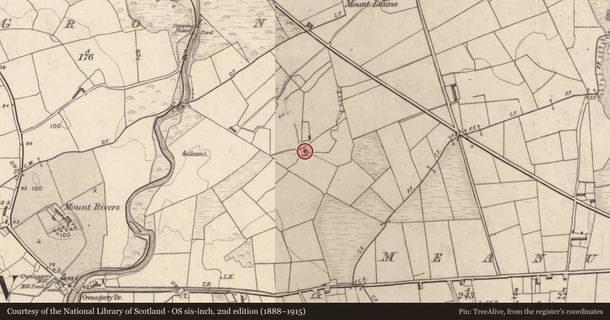 Ordnance Survey six-inch map, 2nd edition (1888–1915) covering the location of Ringfort - rath, Ownagarry, County Kerry, with a pin at the register's coordinates