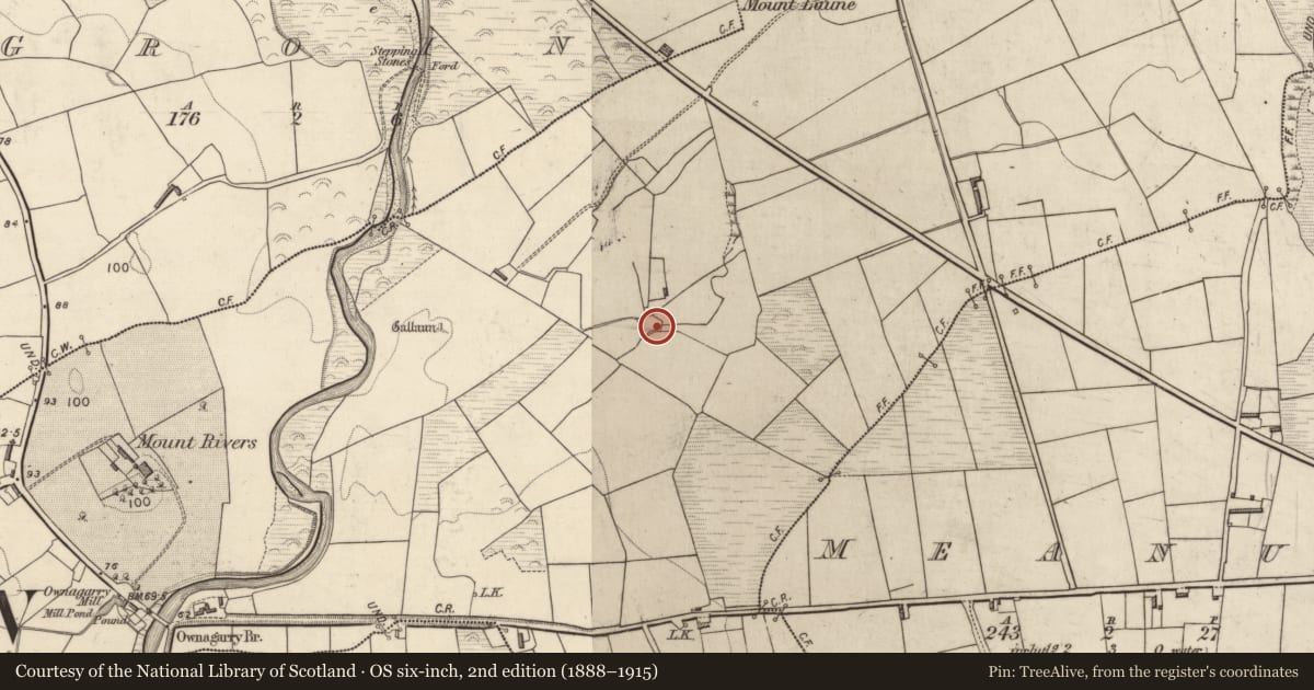 Ordnance Survey six-inch map, 2nd edition (1888–1915) covering the location of Souterrain, Ownagarry, County Kerry, with a pin at the register's coordinates