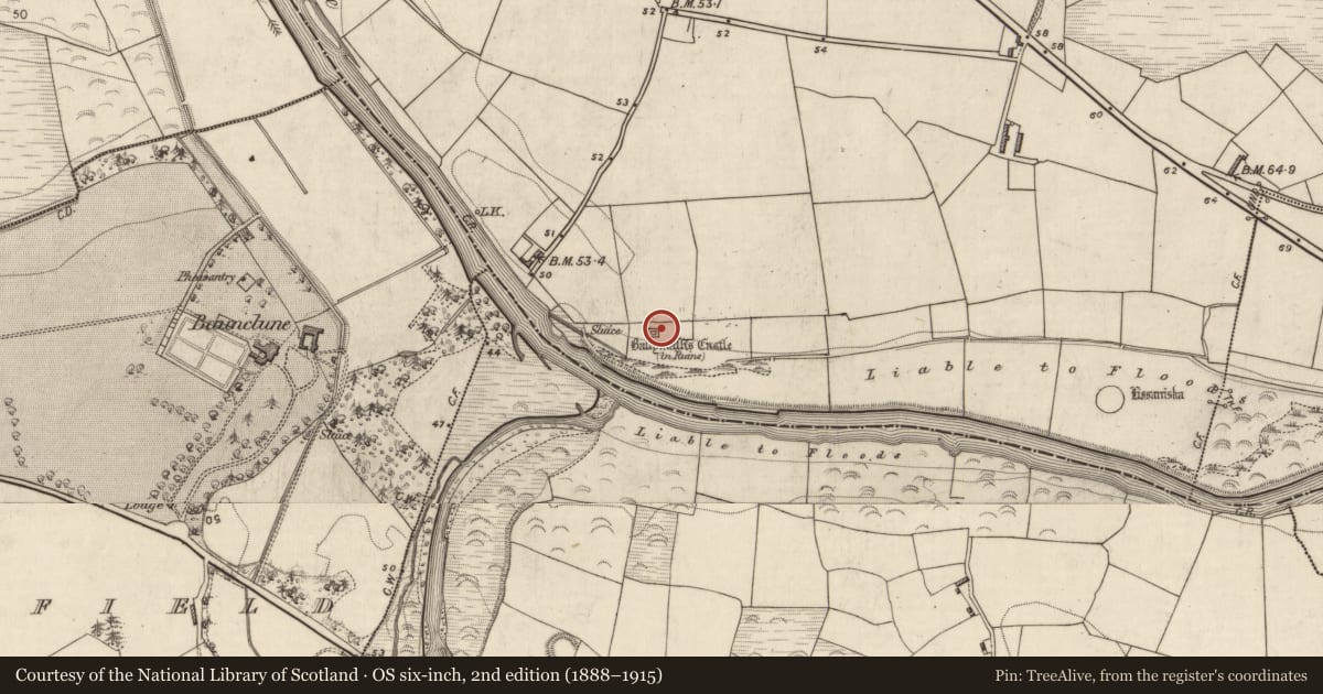 Ordnance Survey six-inch map, 2nd edition (1888–1915) covering the location of Castle - tower house, Ballymalis, County Kerry, with a pin at the register's coordinates
