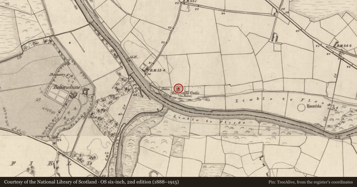 Ordnance Survey six-inch map, 2nd edition (1888–1915) covering the location of Earthwork, Ballymalis, County Kerry, with a pin at the register's coordinates