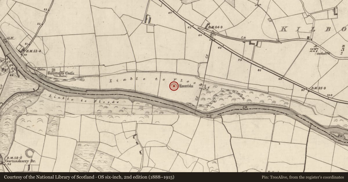 Ordnance Survey six-inch map, 2nd edition (1888–1915) covering the location of Ringfort - rath, Ballymalis, County Kerry, with a pin at the register's coordinates