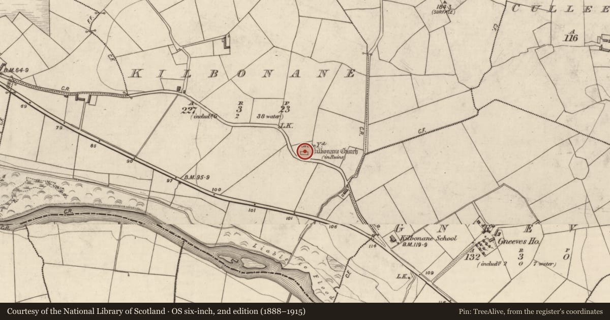 Ordnance Survey six-inch map, 2nd edition (1888–1915) covering the location of Ogham stone, Kilbonane, County Kerry, with a pin at the register's coordinates