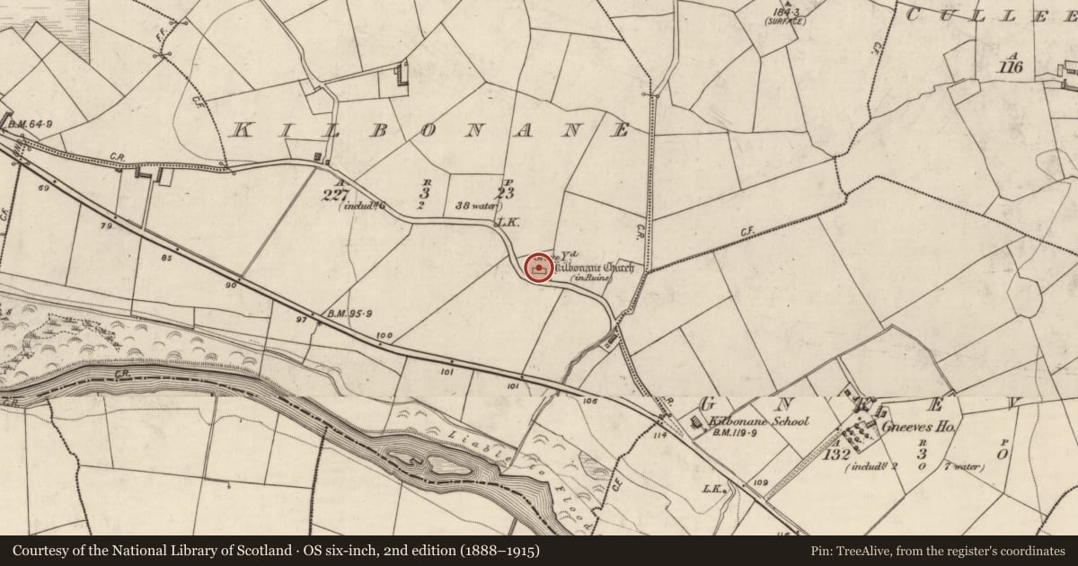 Ordnance Survey six-inch map, 2nd edition (1888–1915) covering the location of Graveyard, Kilbonane, County Kerry, with a pin at the register's coordinates