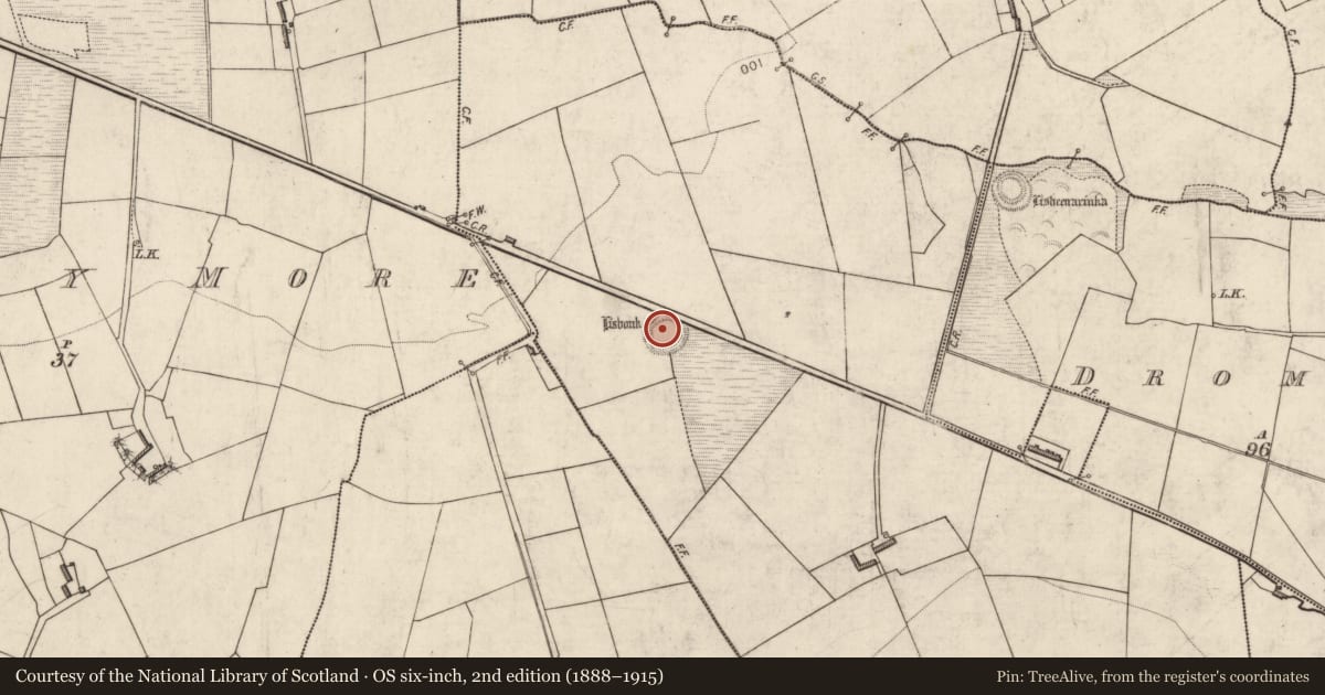 Ordnance Survey six-inch map, 2nd edition (1888–1915) covering the location of Ringfort - rath, Lahard, County Kerry, with a pin at the register's coordinates