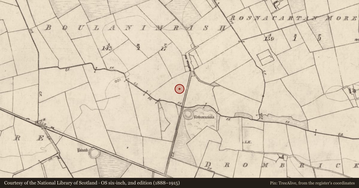 Ordnance Survey six-inch map, 2nd edition (1888–1915) covering the location of Ringfort - rath, Boulanimrish, County Kerry, with a pin at the register's coordinates
