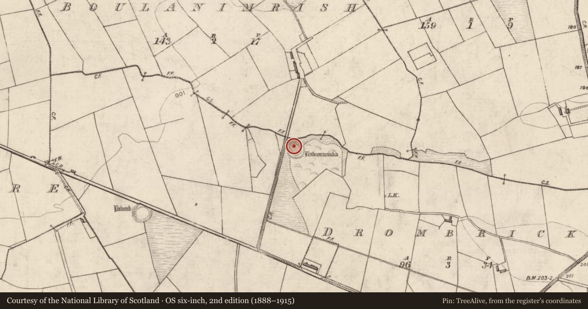 Ordnance Survey six-inch map, 2nd edition (1888–1915) covering the location of Ringfort - rath, Drombrick, County Kerry, with a pin at the register's coordinates