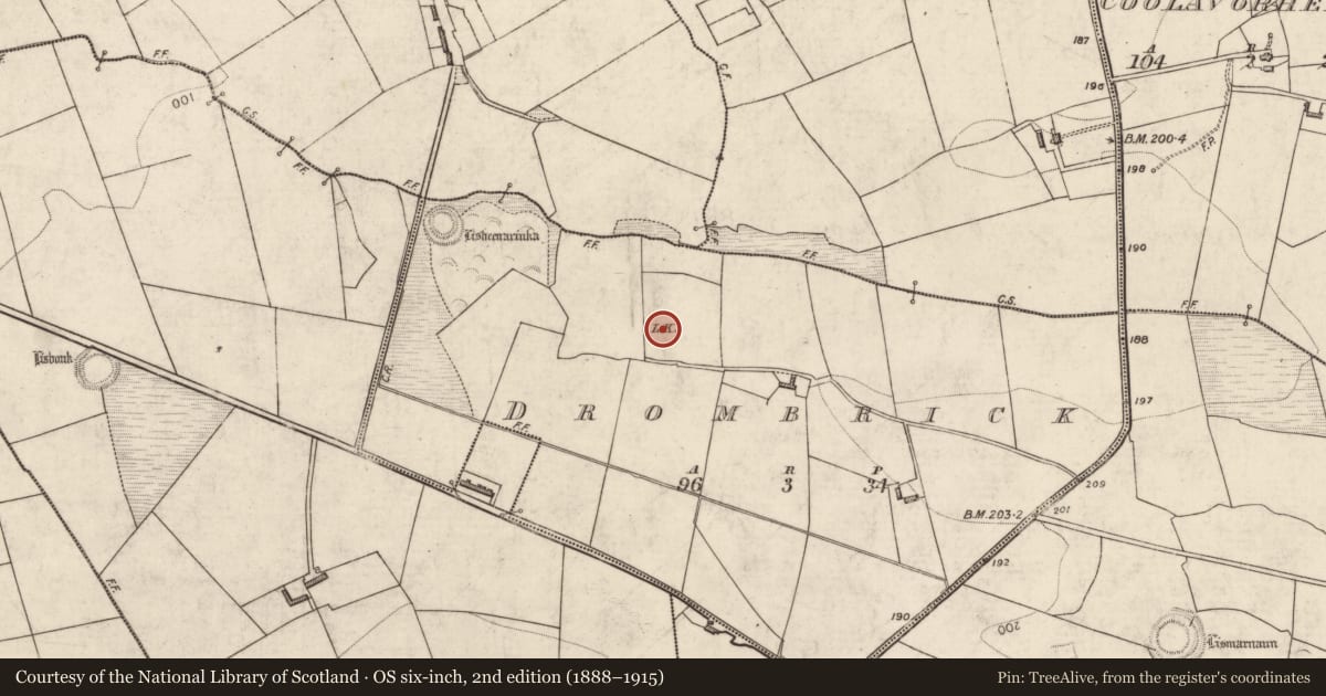 Ordnance Survey six-inch map, 2nd edition (1888–1915) covering the location of Ringfort - rath, Drombrick, County Kerry, with a pin at the register's coordinates