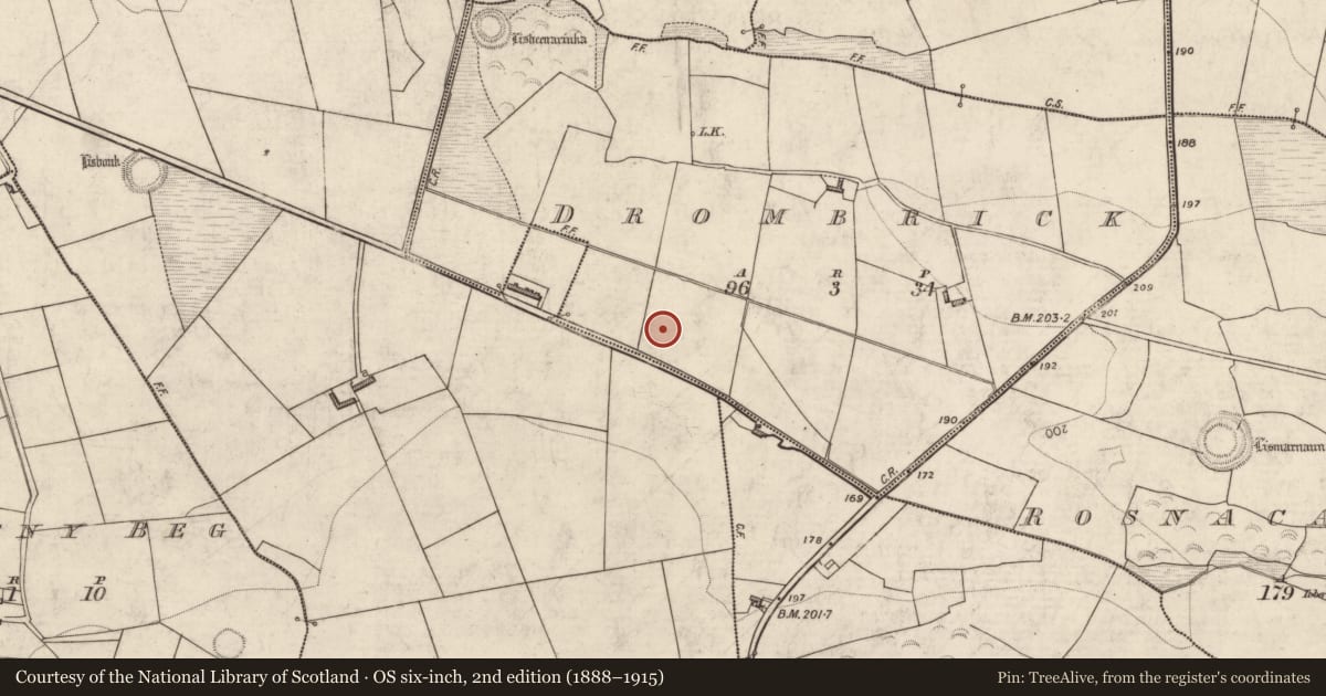Ordnance Survey six-inch map, 2nd edition (1888–1915) covering the location of Ringfort - rath, Drombrick, County Kerry, with a pin at the register's coordinates