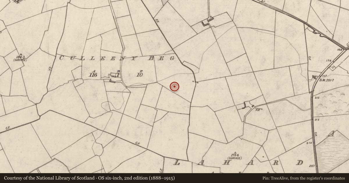 Ordnance Survey six-inch map, 2nd edition (1888–1915) covering the location of Ringfort - rath, Culleeny Beg, County Kerry, with a pin at the register's coordinates