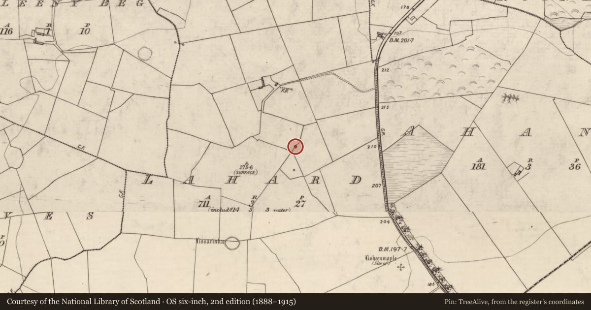 Ordnance Survey six-inch map, 2nd edition (1888–1915) covering the location of Ringfort - rath, Lahard, County Kerry, with a pin at the register's coordinates